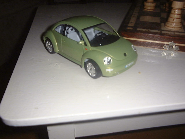 Bauke's_Beetle2