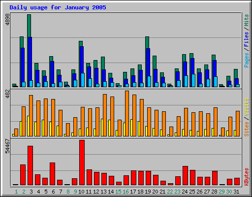 Daily usage for January 2005