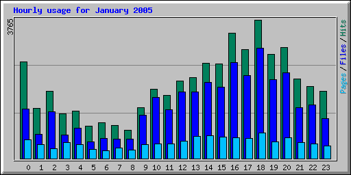 Hourly usage for January 2005