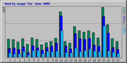 Hourly usage for June 2005